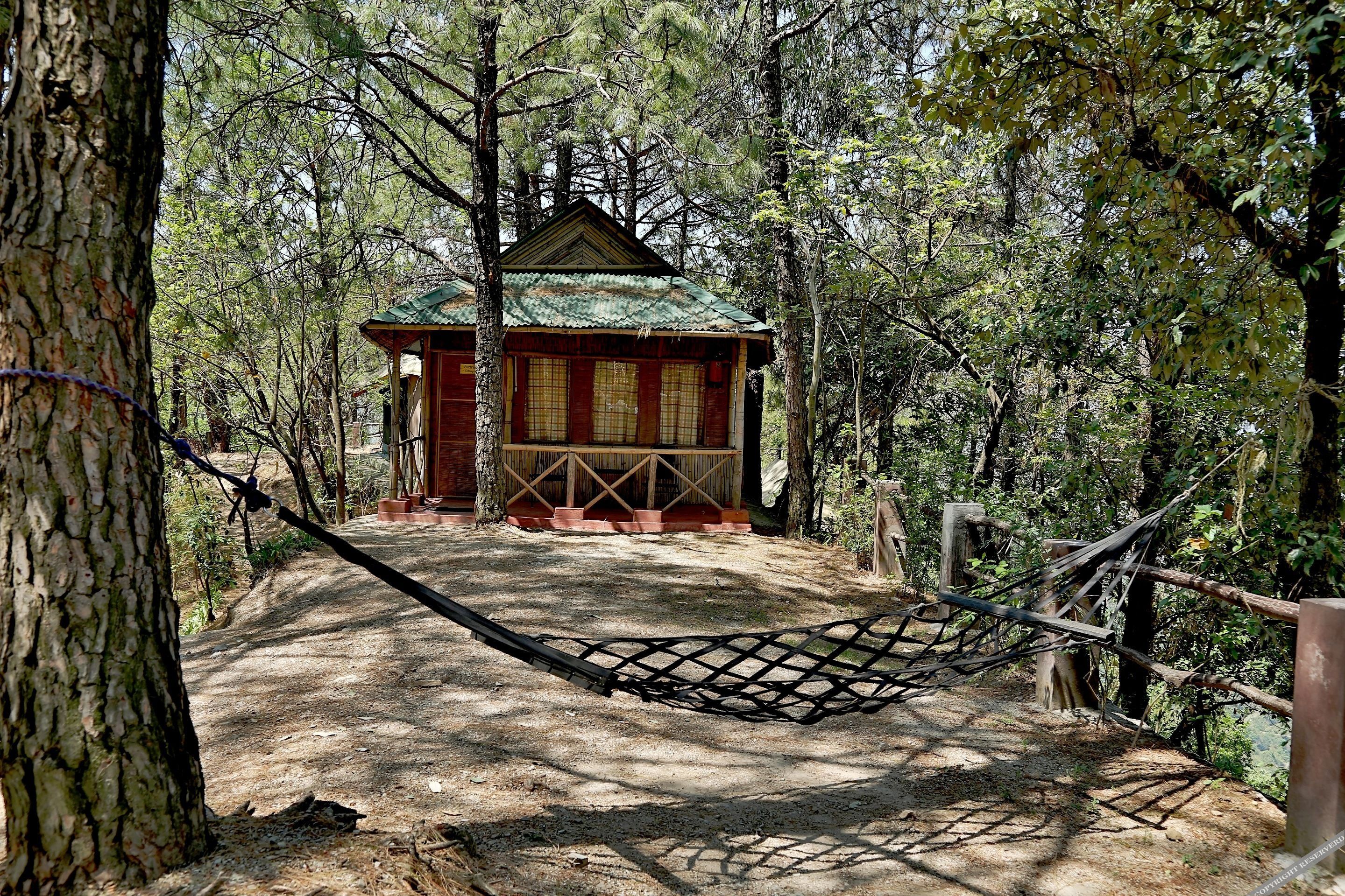 park woods shoghi