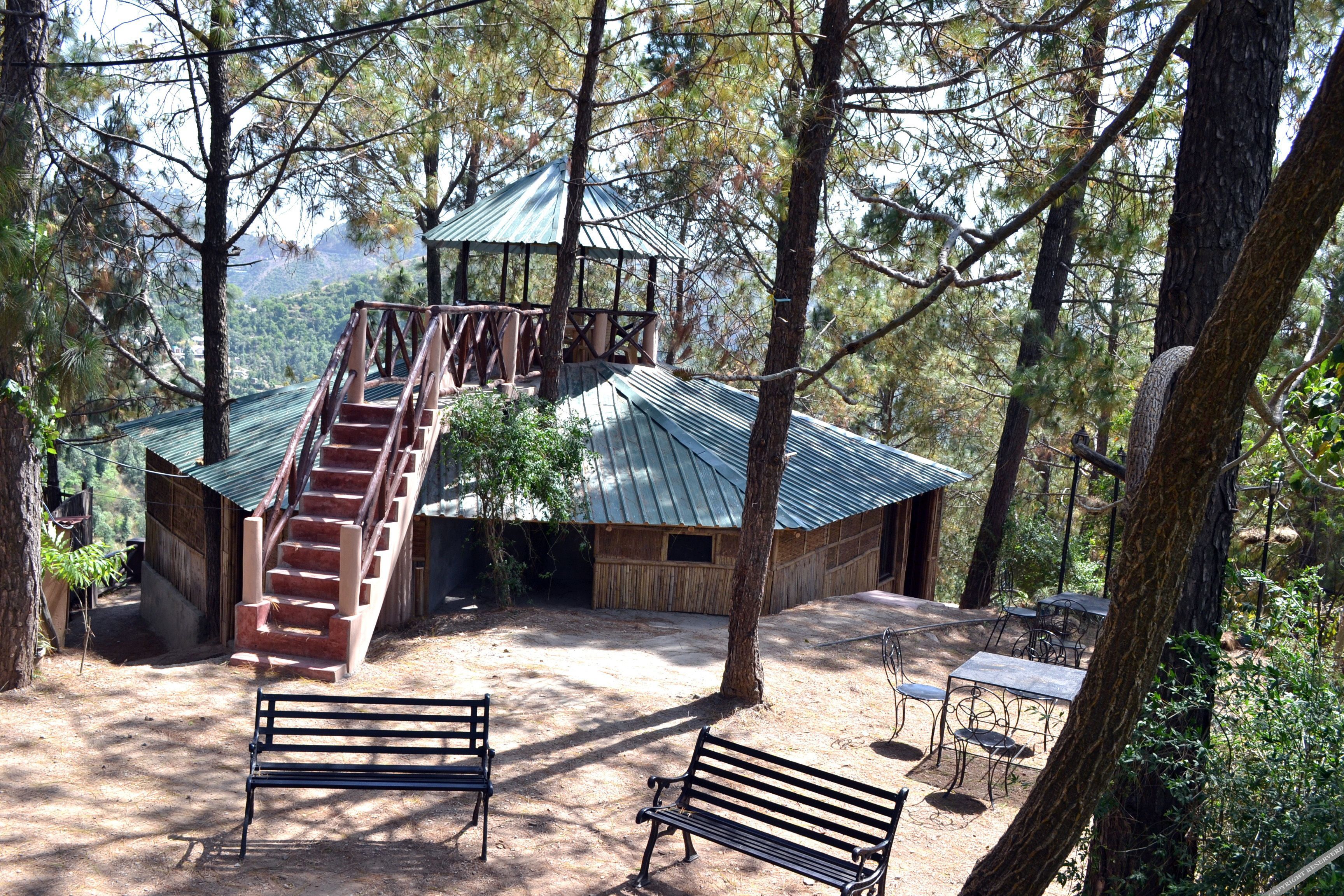park woods shoghi
