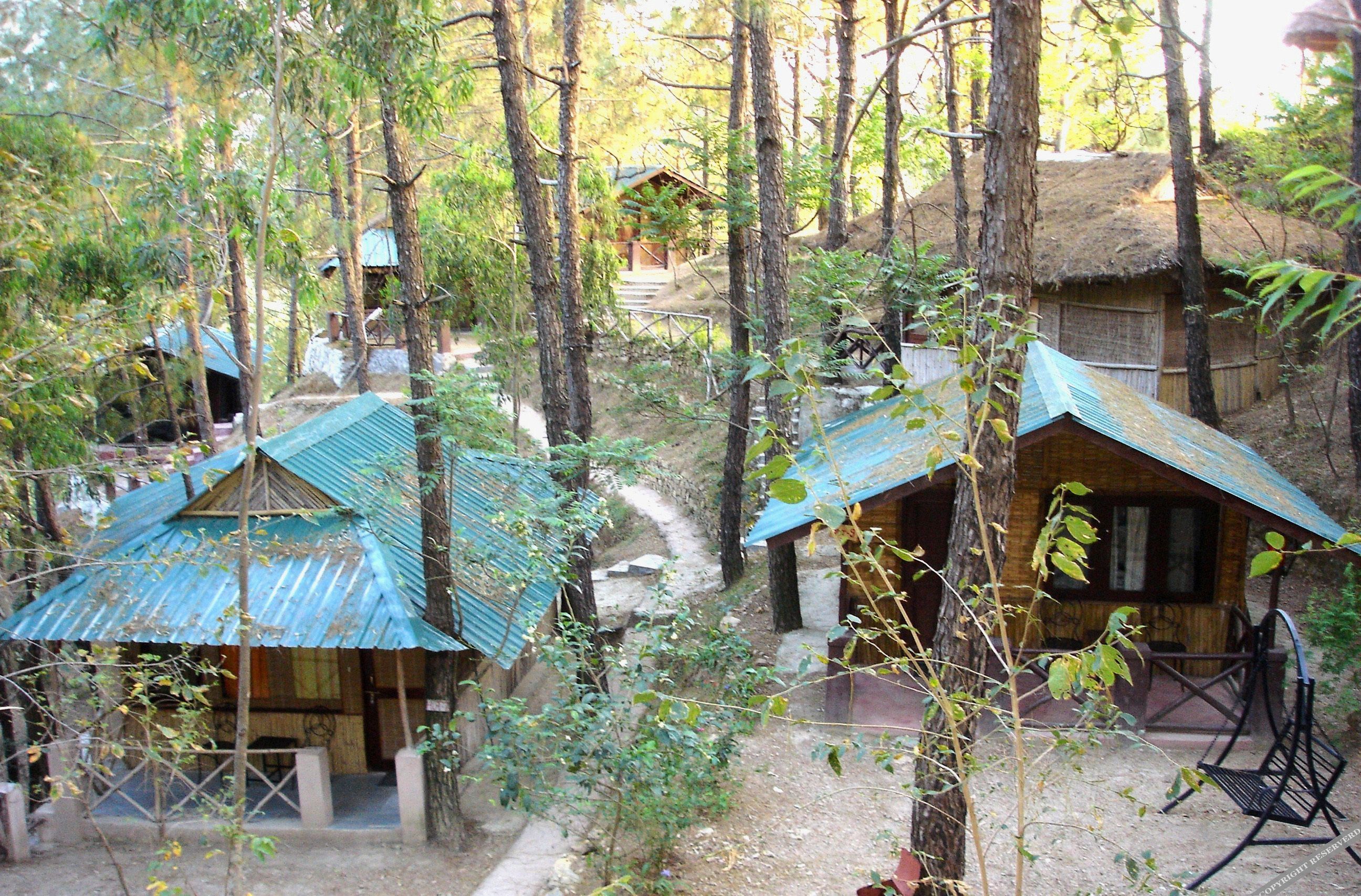 park woods shoghi