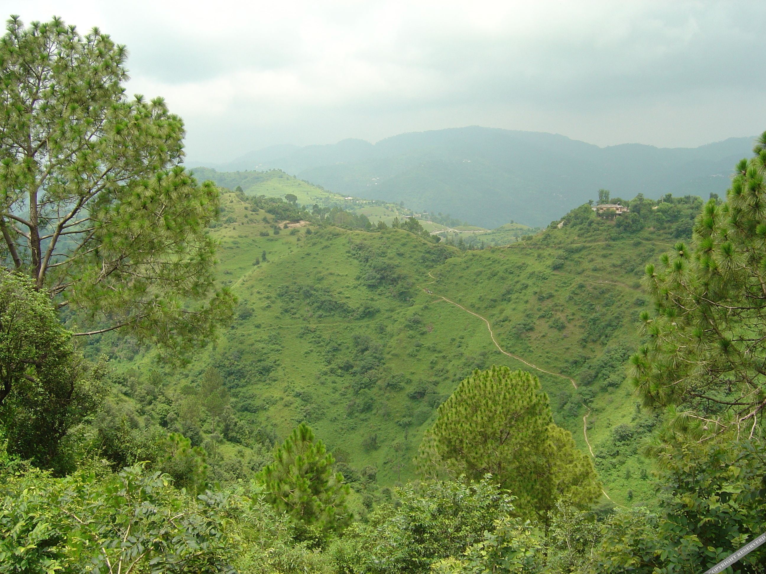 park woods shoghi