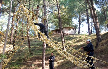 Park Woods Shoghi,Kufri>>Kandaghat,3 star