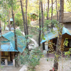 park woods shoghi