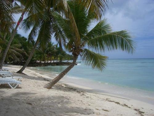 san rafael del yuma