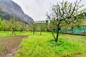 manali