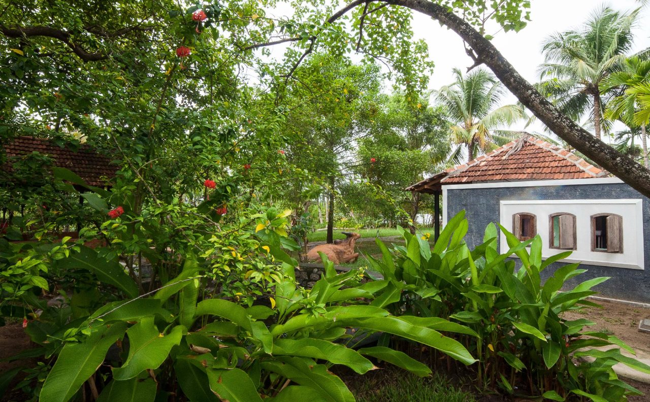 kayal island retreat