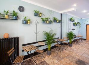 Patio Hostel,Old Town Bratislava>>Bratislava,2 star