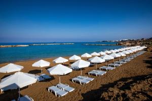 Venus Beach Hotel,Tombs Of The Kings>>Paphos,5 star