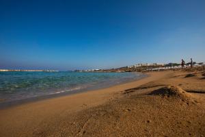 venus beach hotel