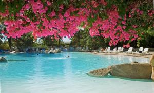 arbatax park resort dune