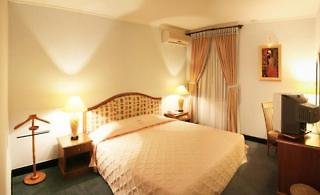 Palace Hotel Vung Tau,Ba Ria-Vung Tau Province>>Vung Tau,4 star