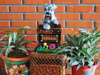 casa lima bed and breakfast