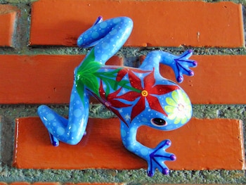 casa lima bed and breakfast