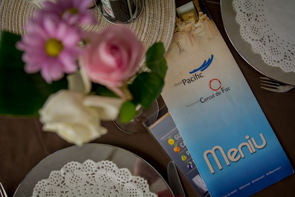 hotel pacific timisoara