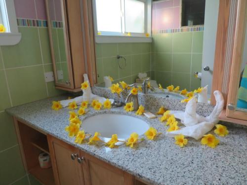 timothy beach resort