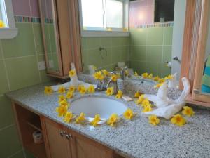 timothy beach resort