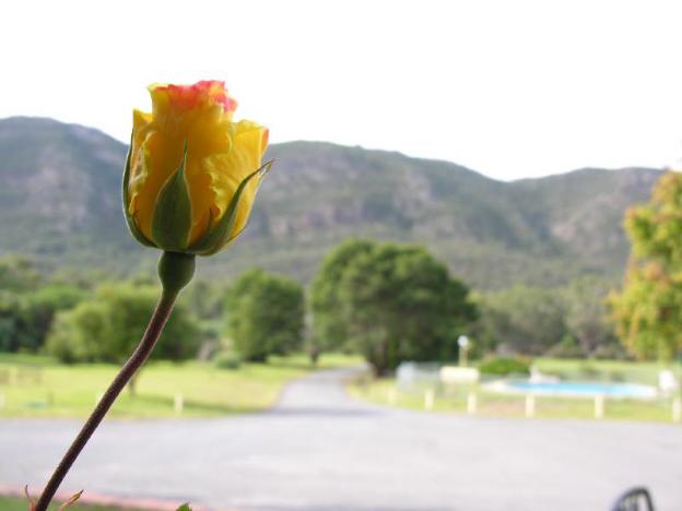 the grampians motel and the views restaurant