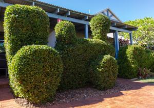 broome beach resort