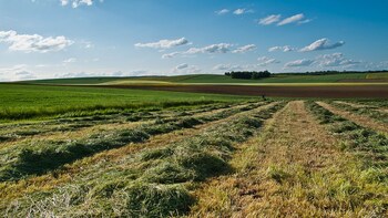 flopre chambre dhote