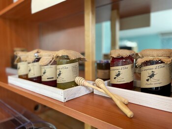 deltour hotel puy en velay