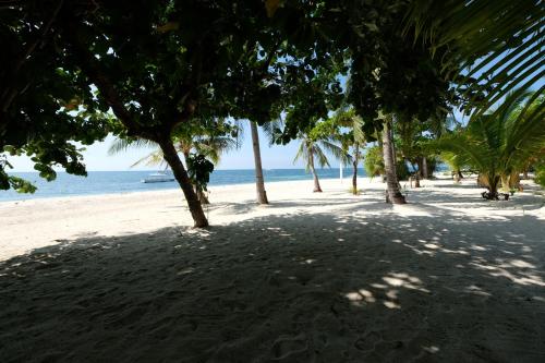 malapascua exotic island dive and beach resort