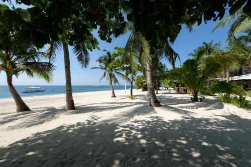 malapascua exotic island dive and beach resort