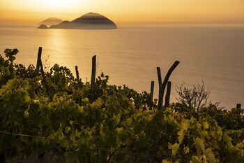 Hotel Signum,Near Scario Beach,4 star