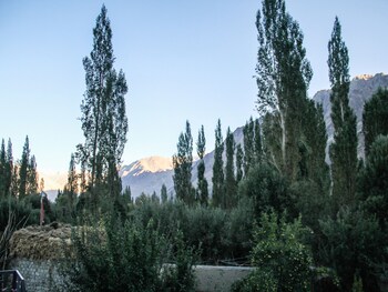 goba guest house