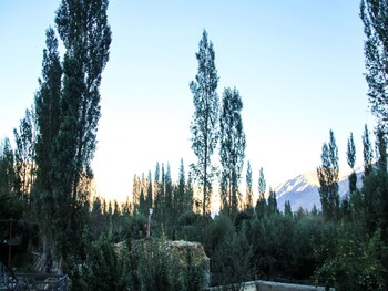 goba guest house