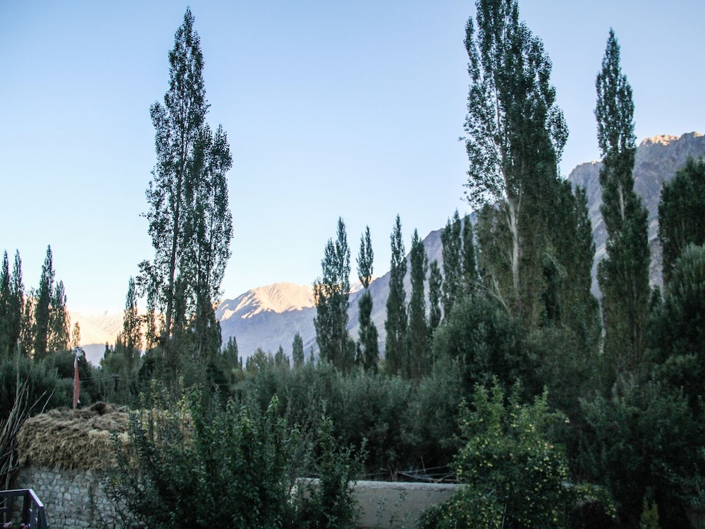 goba guest house