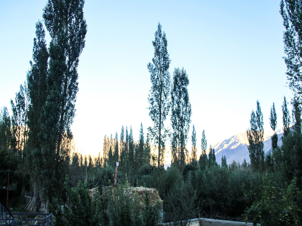 goba guest house