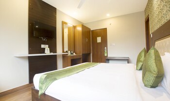 treebo sc residency manali