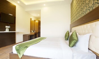 treebo sc residency manali
