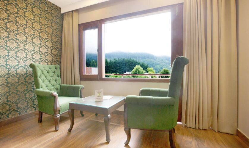 treebo sc residency manali