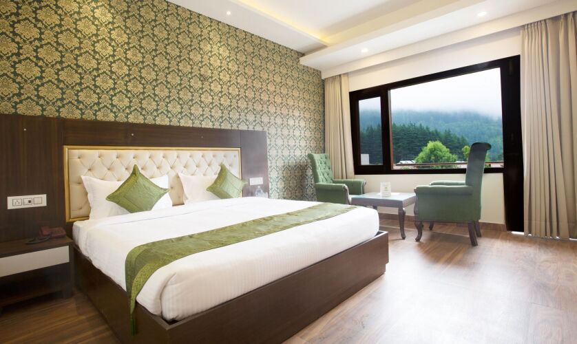 treebo sc residency manali