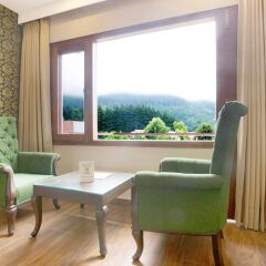 treebo sc residency manali