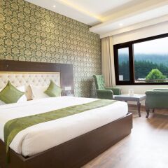 treebo sc residency manali