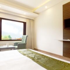 treebo sc residency manali