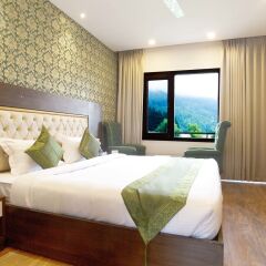 treebo sc residency manali