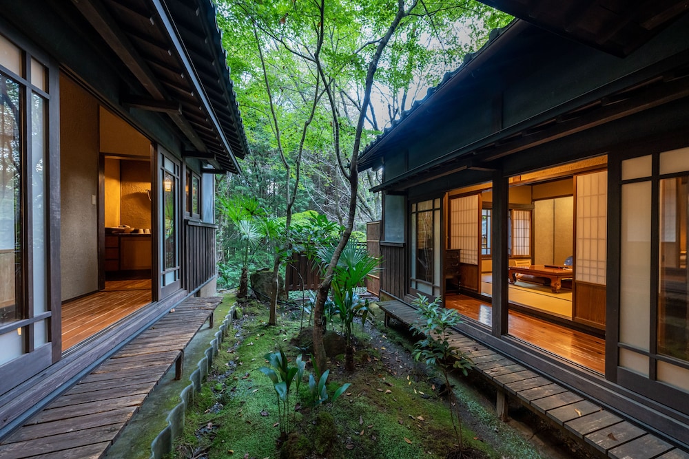 nihon no ashitaba