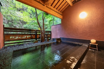 nihon no ashitaba