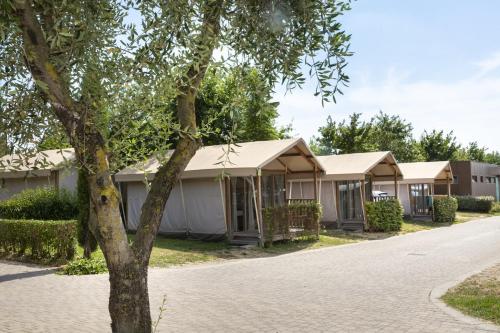 hu roma camping in town