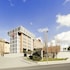 ibis roma fiera