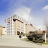 ibis roma fiera
