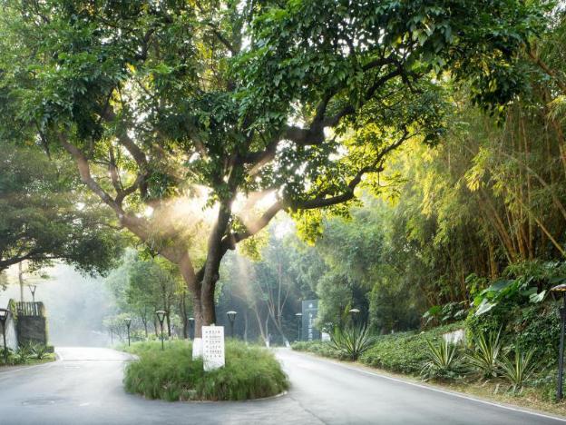 guangzhou