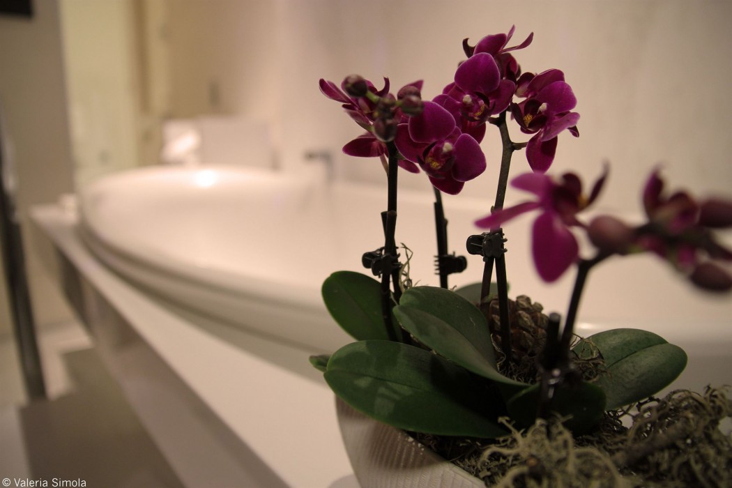 suite sistina for brave lovers