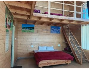 snow view luxury homes