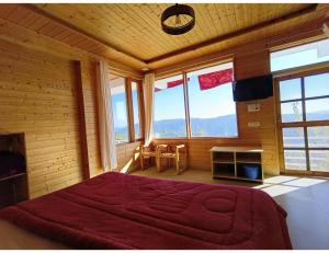 snow view luxury homes