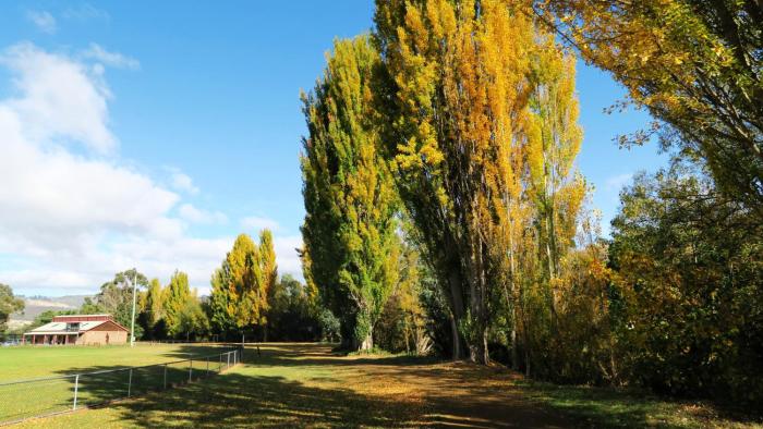 junction motel new norfolk