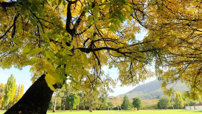 junction motel new norfolk