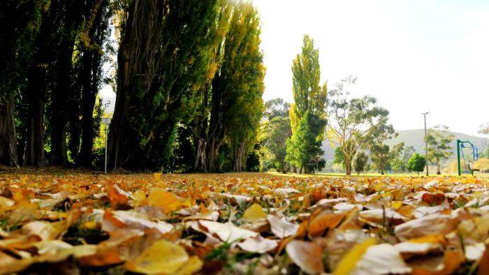 junction motel new norfolk